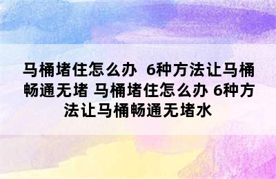 马桶堵住怎么办  6种方法让马桶畅通无堵 马桶堵住怎么办 6种方法让马桶畅通无堵水